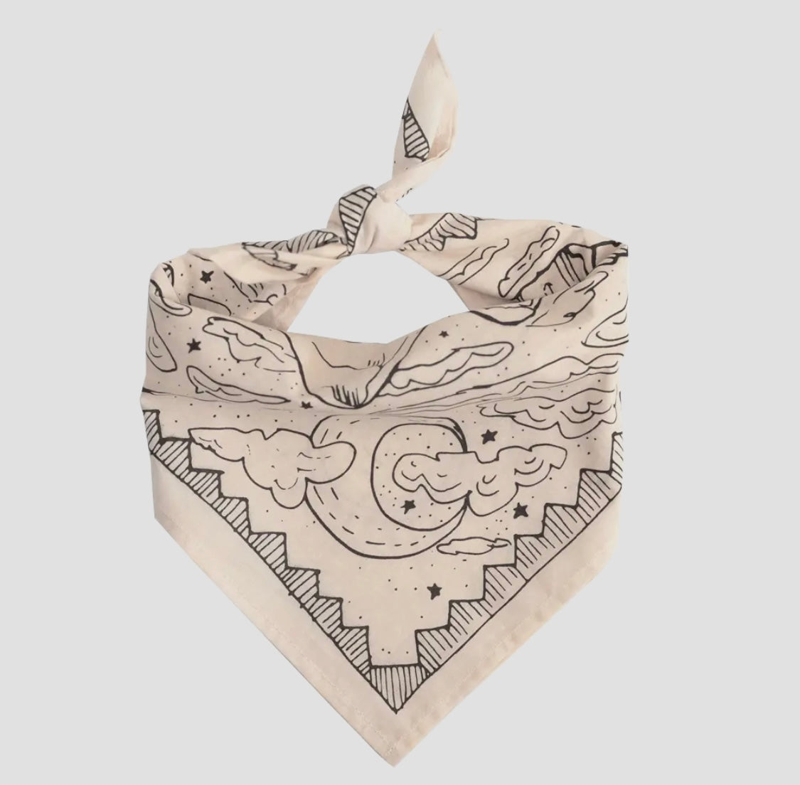 Desert Bandana